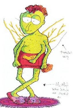 Boy McMidgey